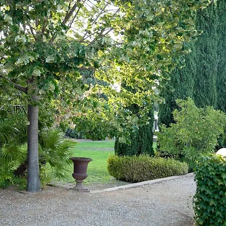 乡村民宿 Mas Del Moli *