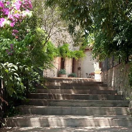 Mas Del Moli * Reus